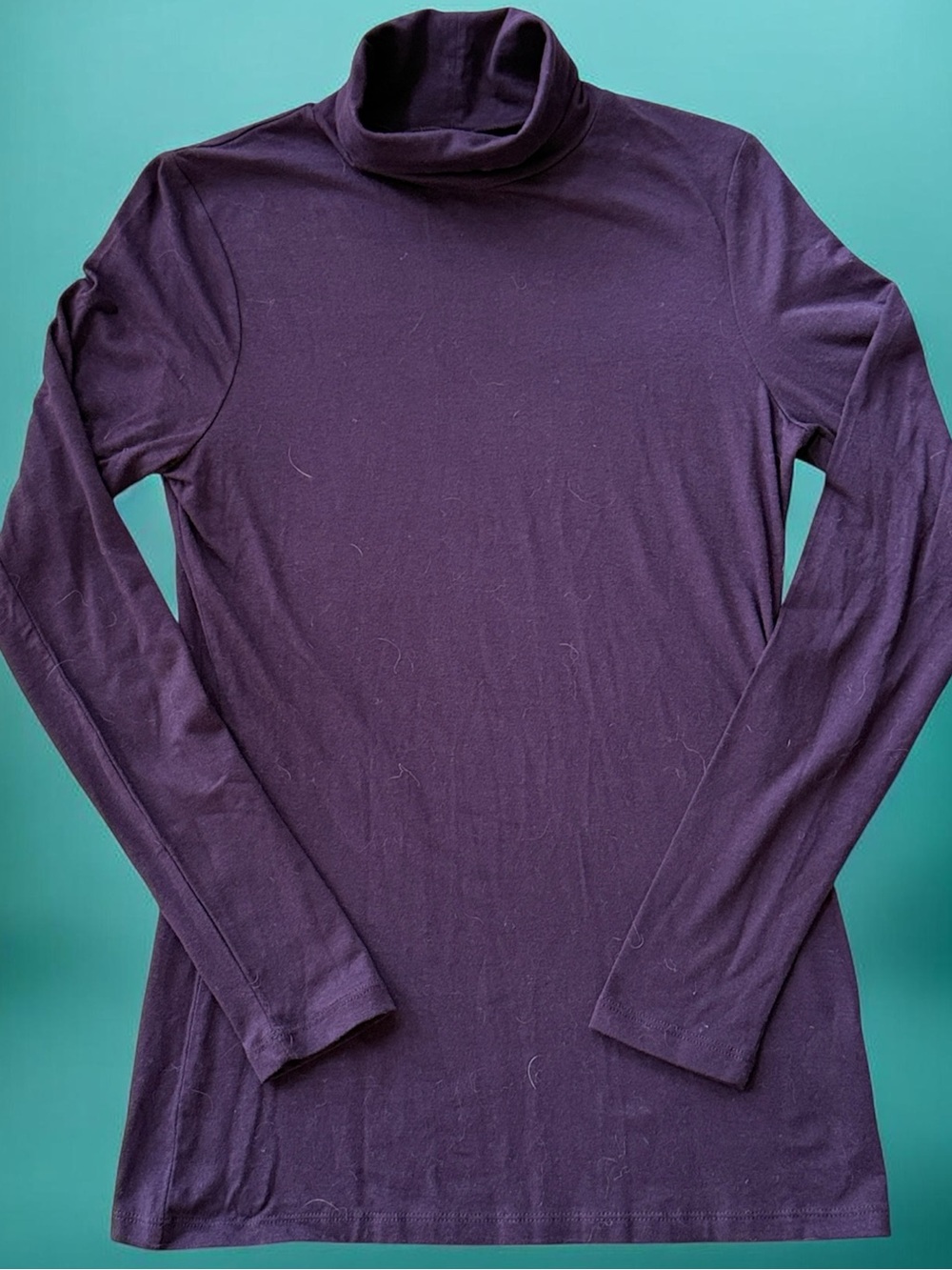Merona Deep Plum Turtleneck Long-Sleeve Top!